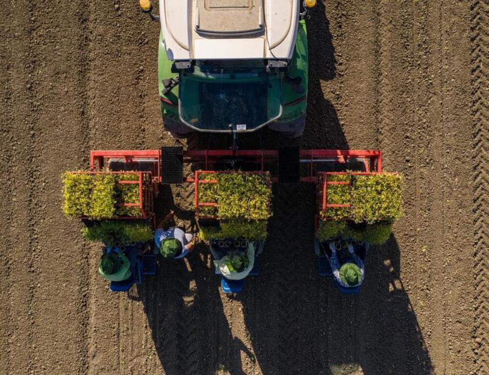 Agricoltura in Sicilia: Serve una visione di filiera innovativa e sostenibile